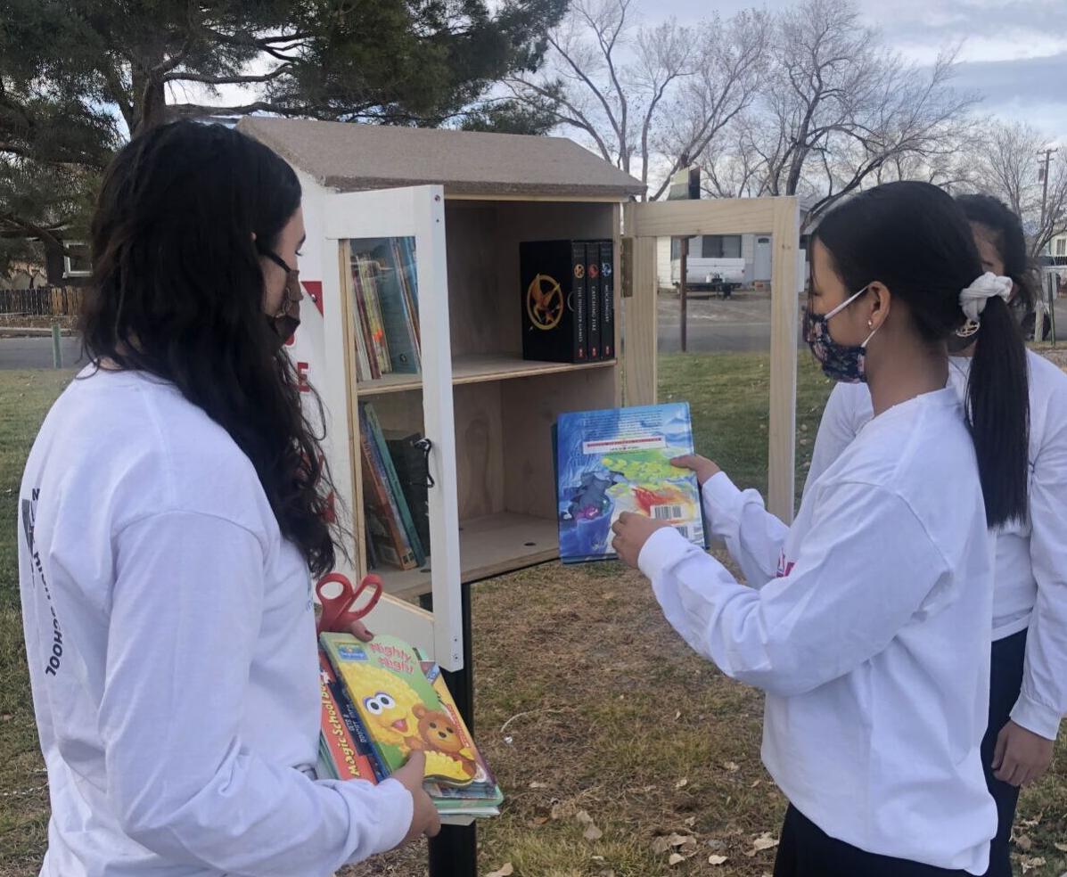 Stocking little library